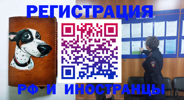 временная регистрация законно в Жукове